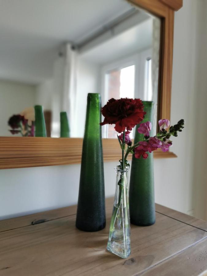 Housing De Brouwerij Bed & Breakfast Westdorpe Ngoại thất bức ảnh