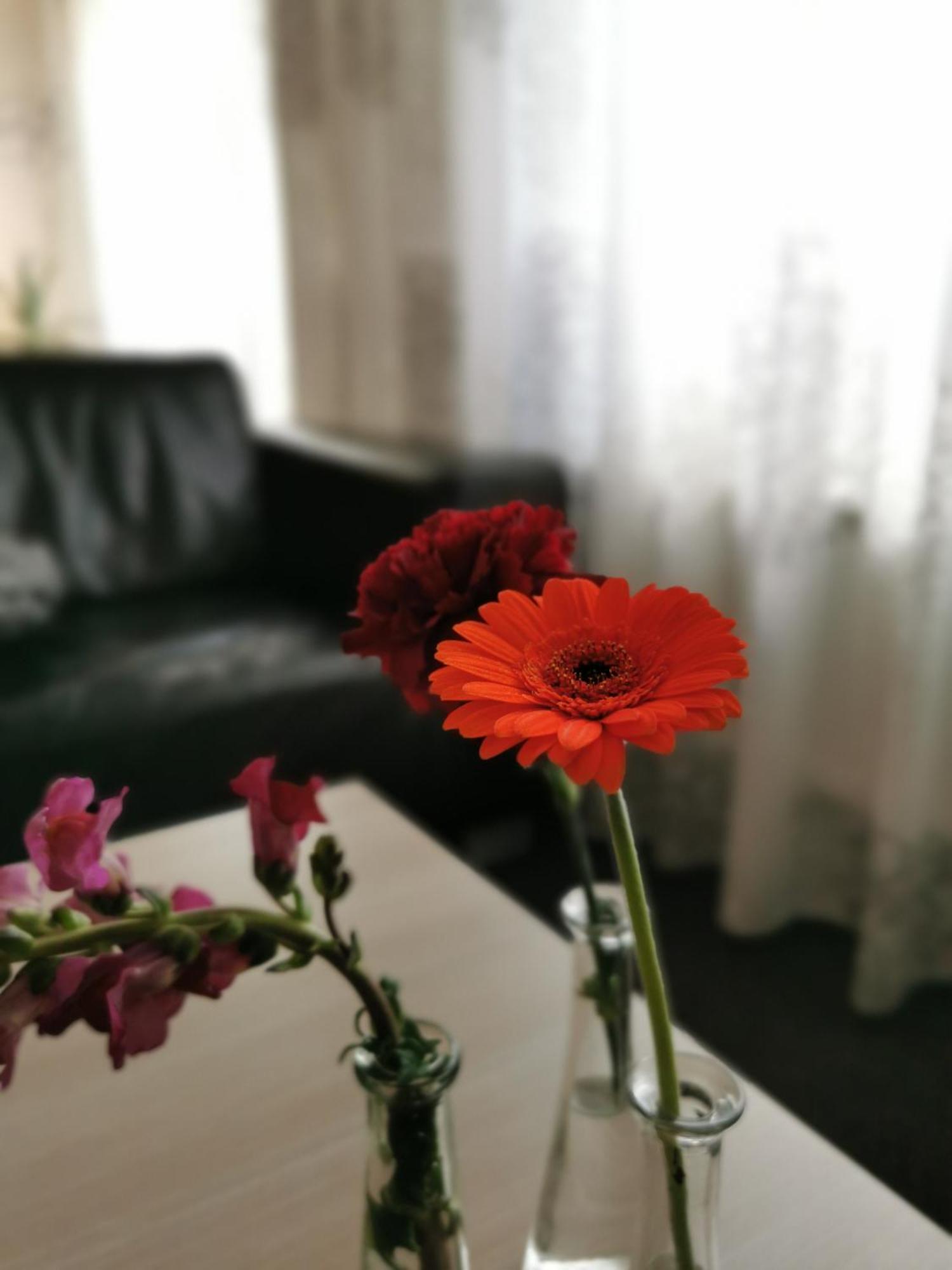 Housing De Brouwerij Bed & Breakfast Westdorpe Phòng bức ảnh